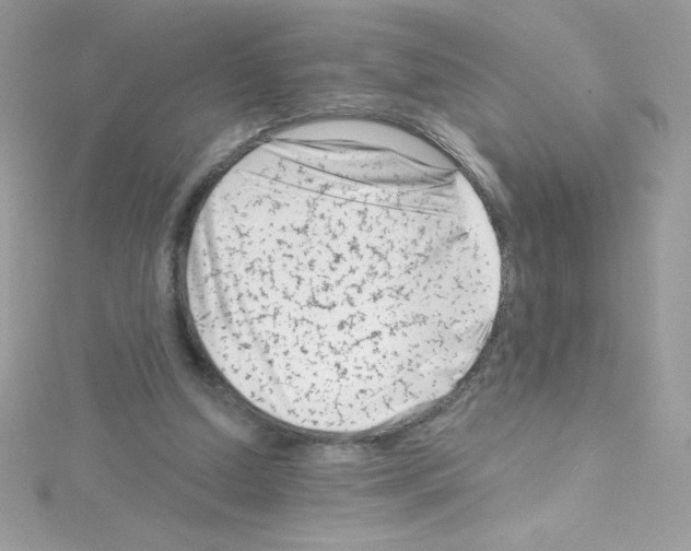 X0000114400250200911271522