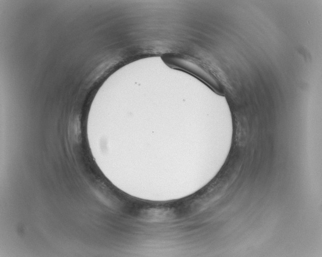 X0000114400251200911271522