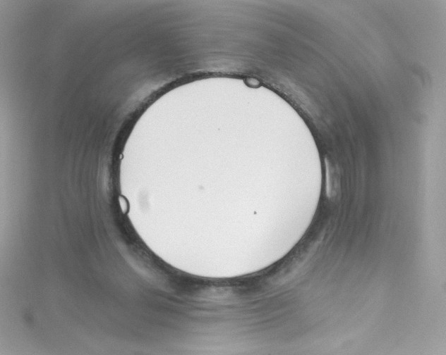 X0000114400252200911271522