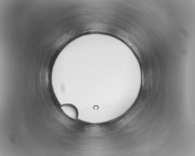 X0000114400253200911271522