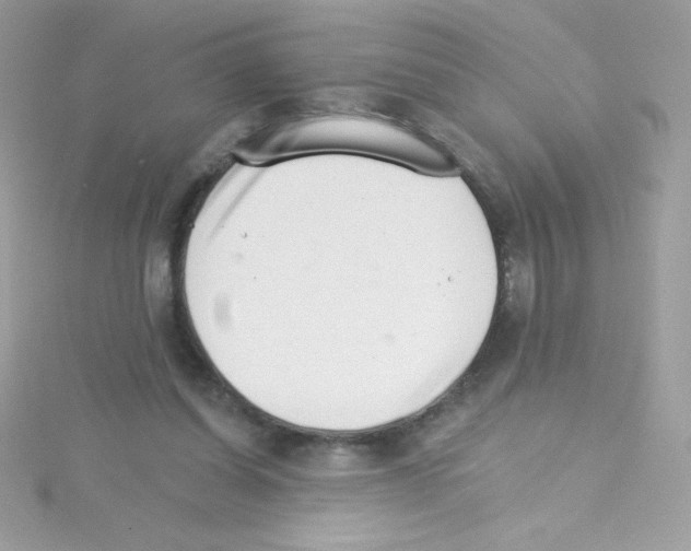 X0000114400254200911271522