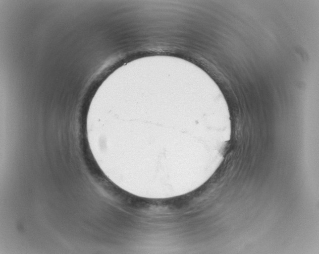 X0000114400256200911271522