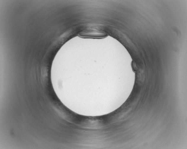 X0000114400260200911271522