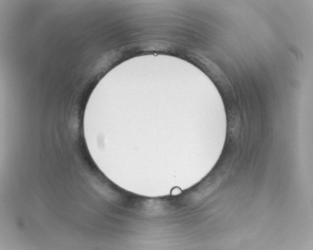 X0000114400261200911271522