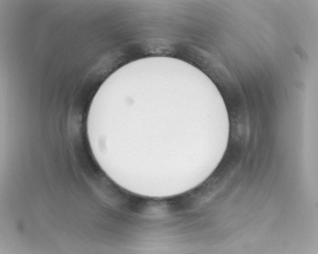 X0000114400263200911271522