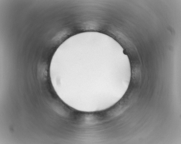 X0000114400264200911271522