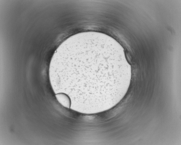 X0000114400265200911271522