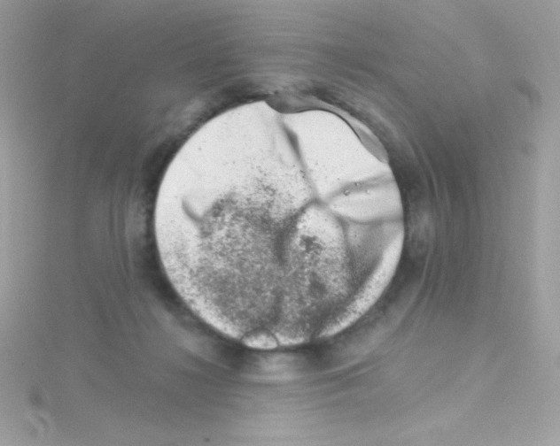 X0000114400268200911271522