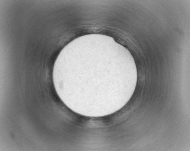 X0000114400270200911271522