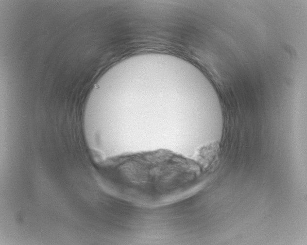 X0000114400273200911271522