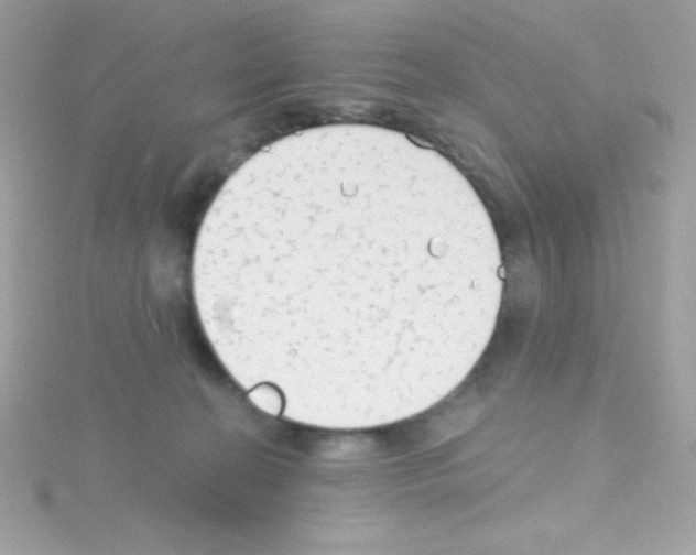 X0000114400274200911271522