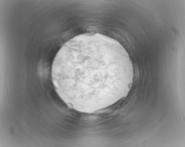 X0000114400276200911271522