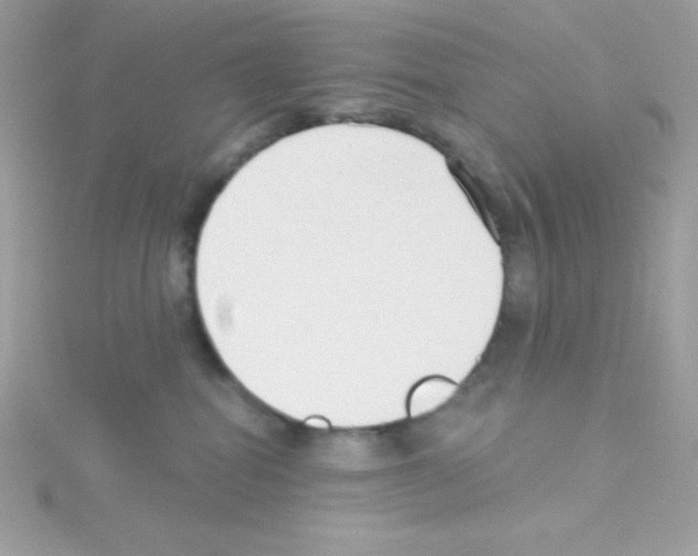 X0000114400282200911271523