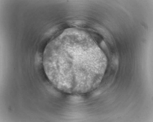 X0000114400284200911271523