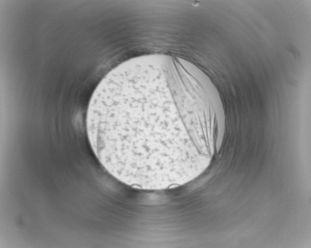 X0000114400286200911271523