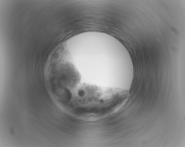 X0000114400287200911271523