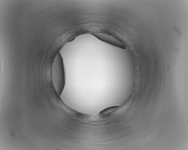 X0000114400288200911271523