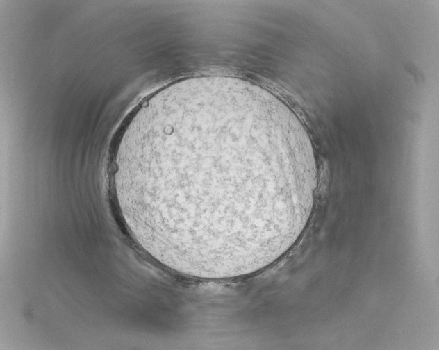 X0000114400290200911271522