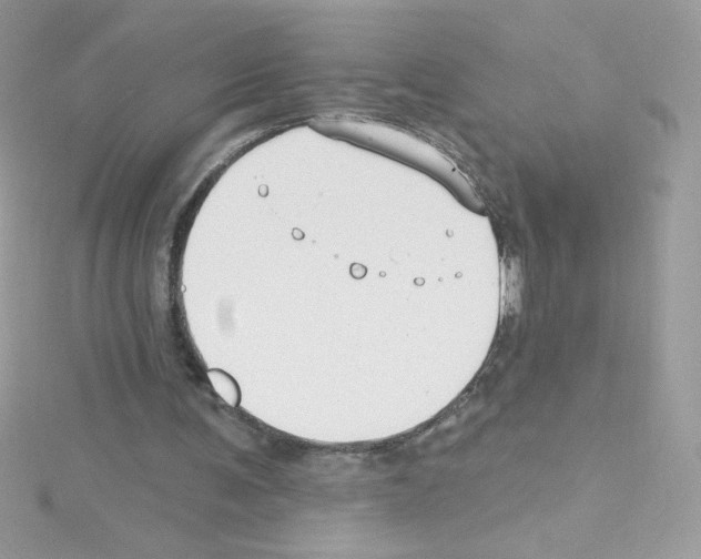 X0000114400291200911271522