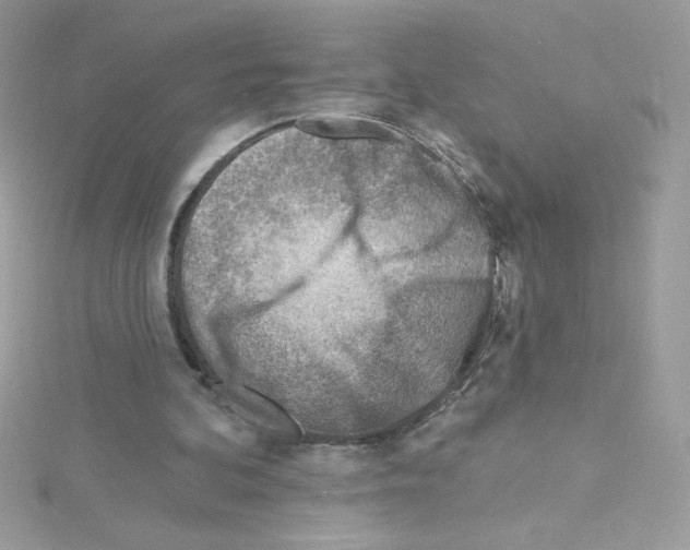 X0000114400292200911271522