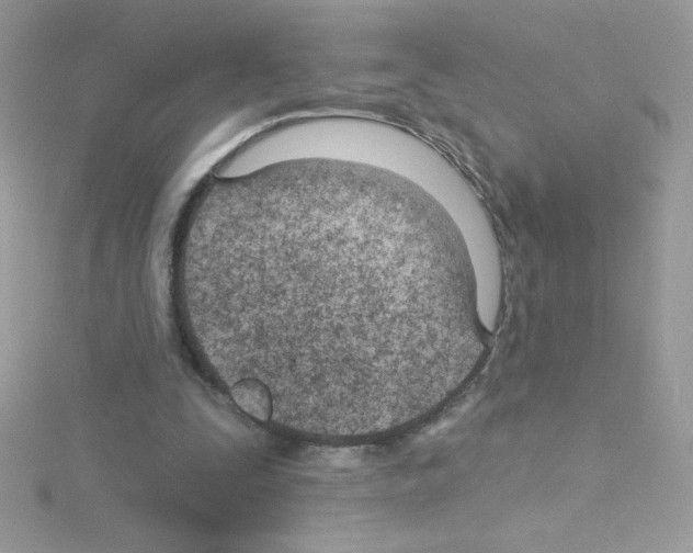 X0000114400295200911271522