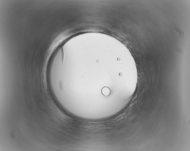 X0000114400296200911271522