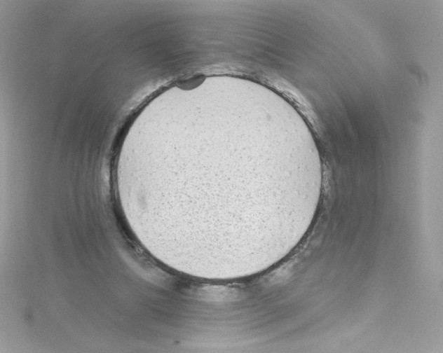 X0000114400298200911271522