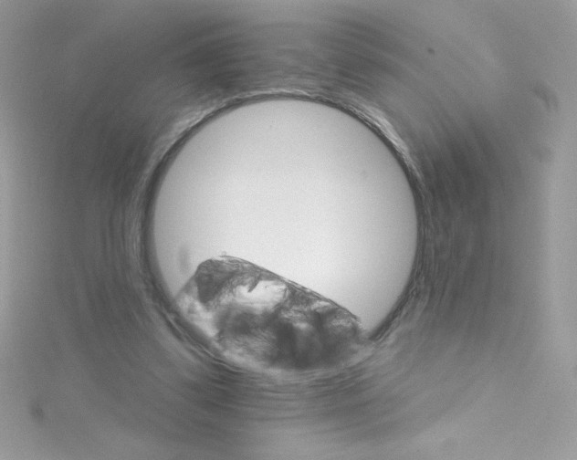 X0000114400299200911271522