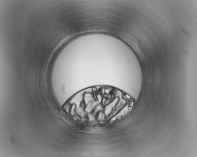 X0000114400300200911271522