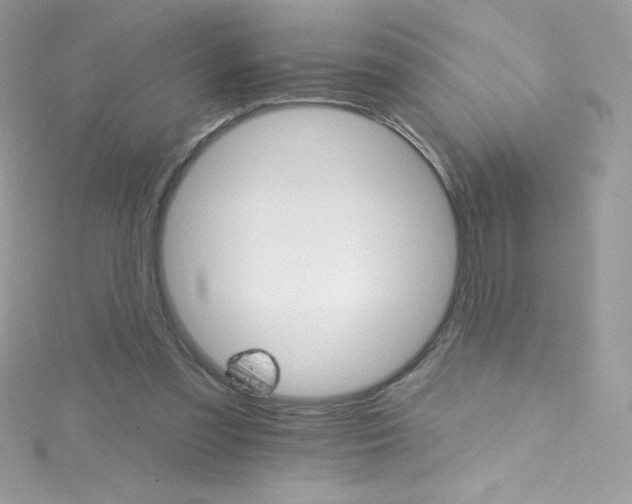 X0000114400301200911271522