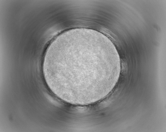 X0000114400302200911271522