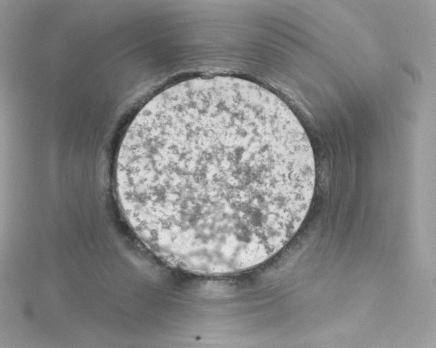 X0000114400303200911271522