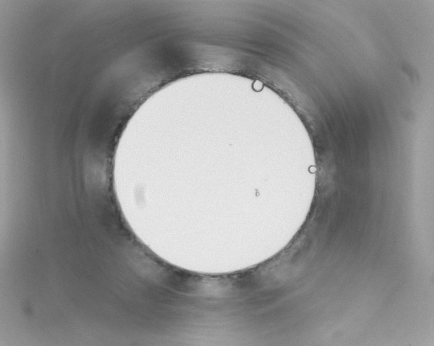 X0000114400305200911271522