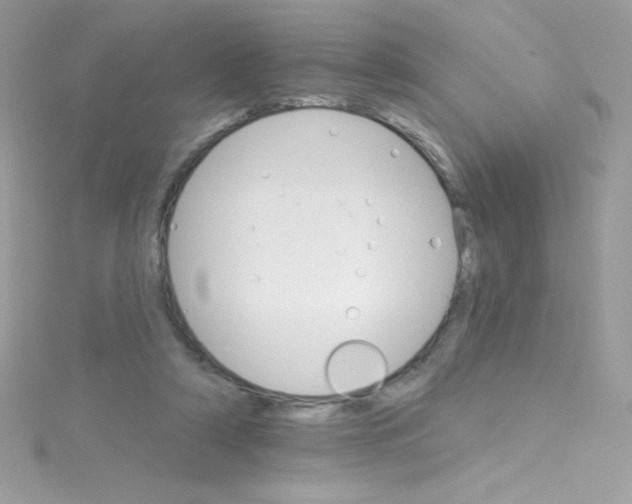 X0000114400306200911271522