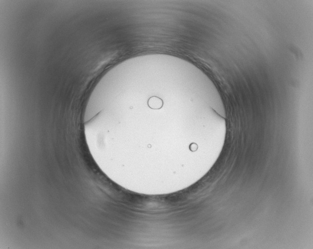 X0000114400308200911271522