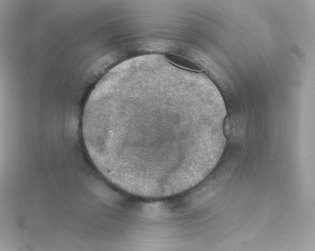 X0000114400309200911271522