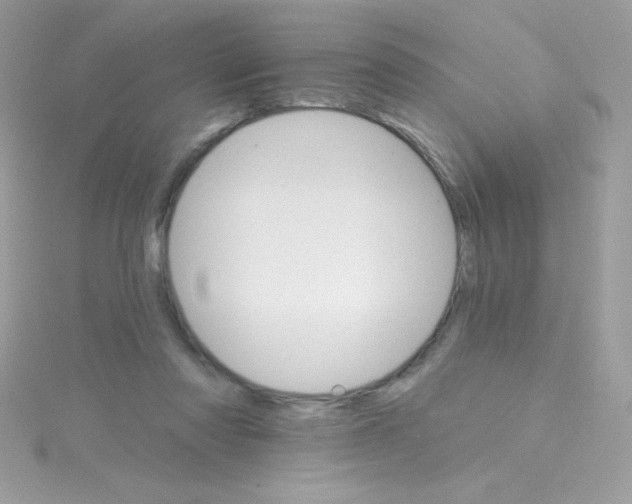 X0000114400310200911271522