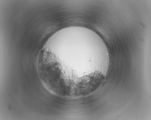 X0000114400311200911271522