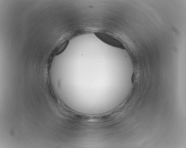 X0000114400312200911271522