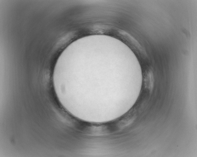 X0000114400314200911271522