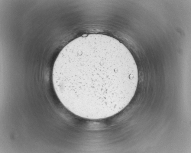 X0000114400315200911271522