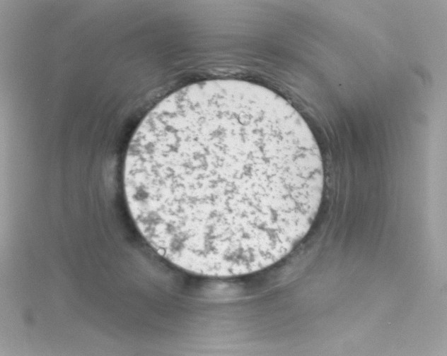 X0000114400319200911271522