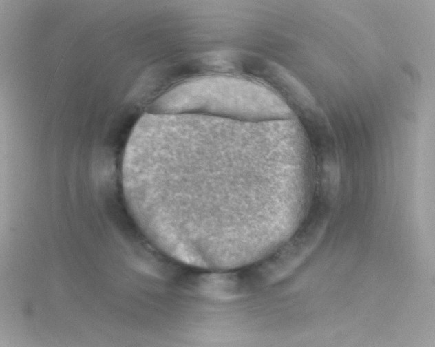 X0000114400320200911271522