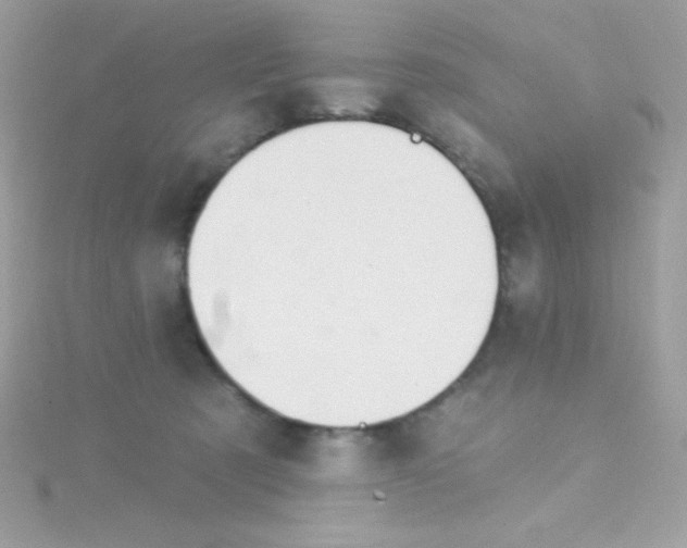 X0000114400321200911271522