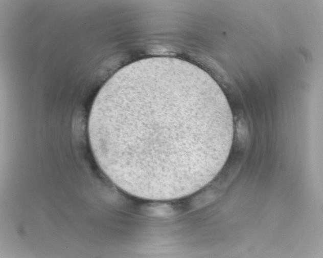 X0000114400322200911271522