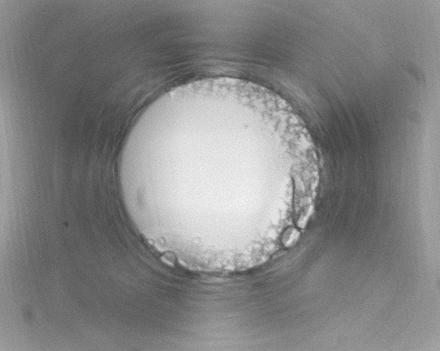 X0000114400325200911271522