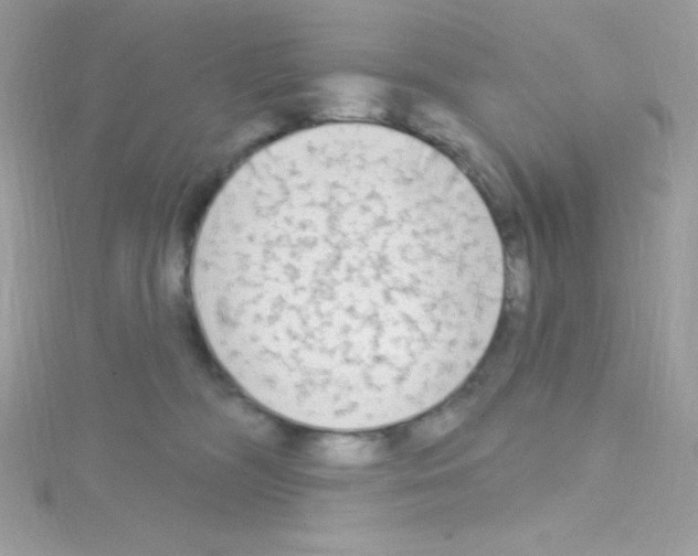 X0000114400326200911271522