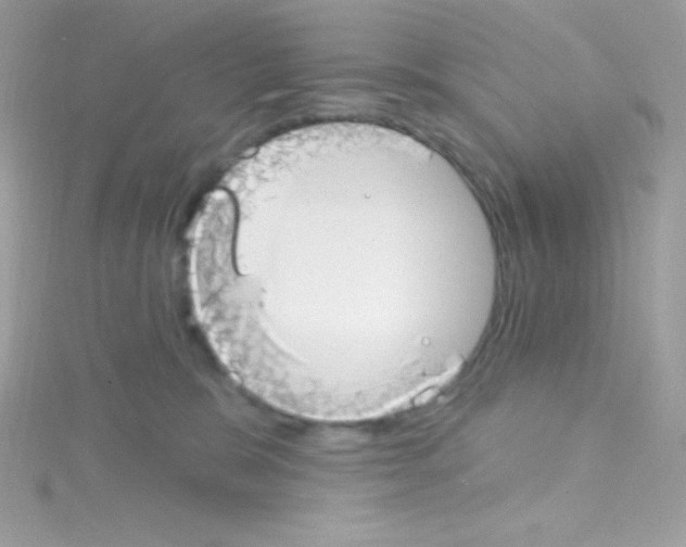 X0000114400327200911271522