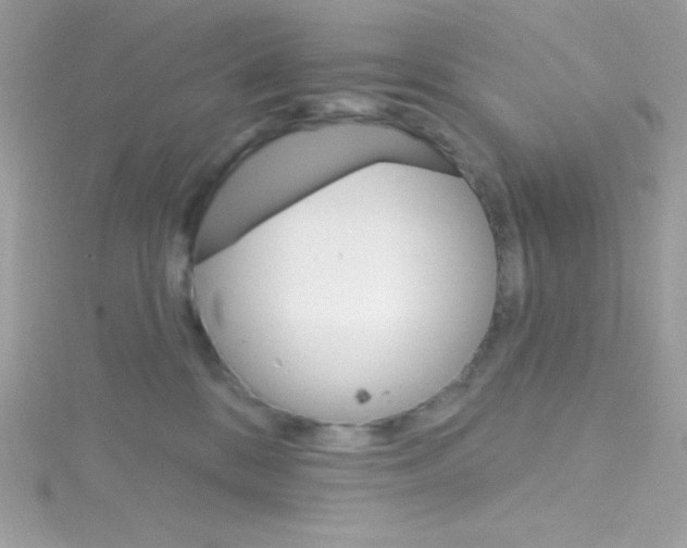 X0000114400328200911271522