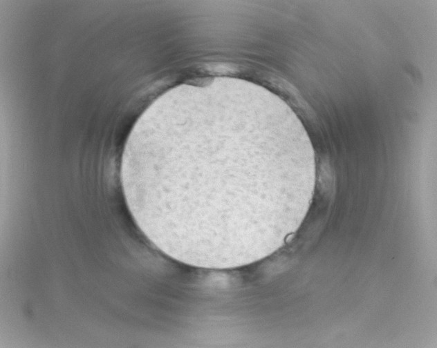 X0000114400330200911271522